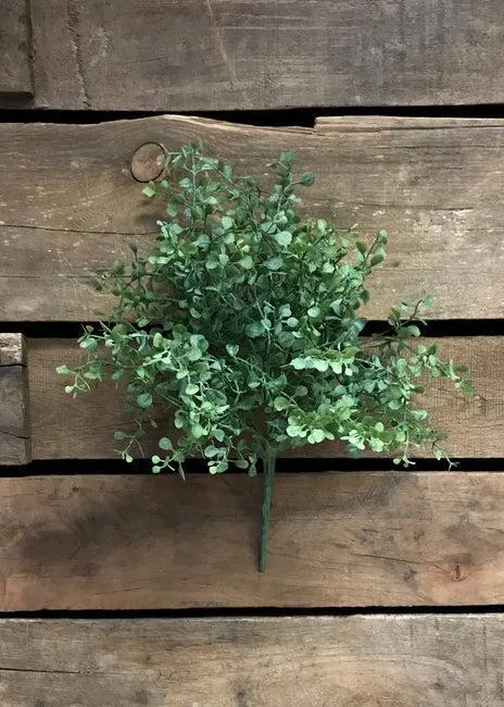 Fresh Touch Baby Tears Bush