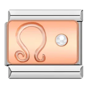 Leo with Stone, on Silver