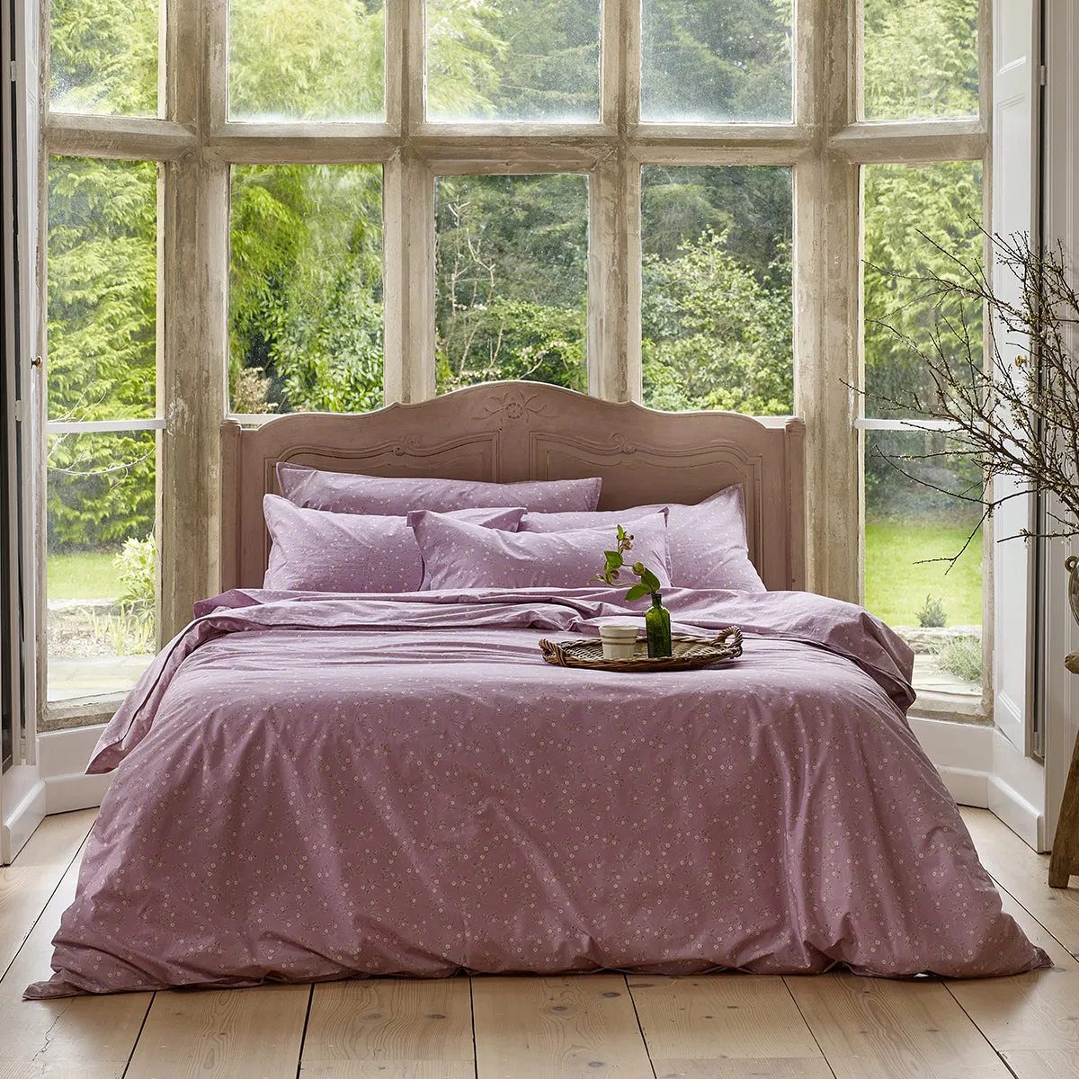 Lupin Floral Cotton Pillowcases (Pair)